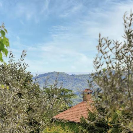 Elegante Appartamento Con Vista - Colli Euganei Teolo エクステリア 写真