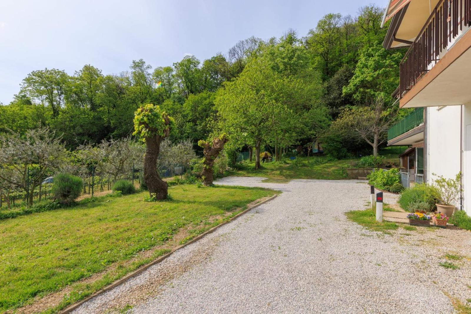 Elegante Appartamento Con Vista - Colli Euganei Teolo エクステリア 写真